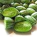 Foto zumari 100 Semillas de Fruta de Melón Cucamelon Verde. revisión
