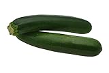 Black Beauty Zucchini Seeds - Non-GMO - 7 Grams, Approximately 60 Seeds Photo, new 2024, best price $3.99 review