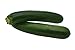 Photo Black Beauty Zucchini Seeds - Non-GMO - 7 Grams, Approximately 60 Seeds review