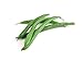 Photo Slenderette Green Bean (Bush Bean) Seeds, 50+ Heirloom Seeds Per Packet, (Isla's Garden Seeds), Non GMO Seeds, Scientific Name: Phaseolus vulgaris review