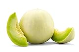 Honeydew Melon Green Flesh, 30 Heirloom Seeds Per Packet, Non GMO Seeds, Botanical Name: Cucumis melo L., Isla's Garden Seeds Photo, new 2024, best price $5.89 ($0.20 / Count) review