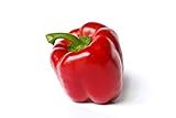 Yolo Wonder L Red Sweet Bell Pepper Seeds, 100 Heirloom Seeds Per Packet, Non GMO Seeds, Botanical Name: Capsicum annuum, Isla's Garden Seeds Photo, new 2024, best price $5.99 ($0.06 / Count) review