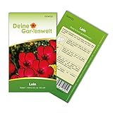 Lein rot Samen - Linum grandiflorum - Leinsamen - Blumensamen - Saatgut für 70 Pflanzen Foto, neu 2024, bester Preis 1,99 € (0,03 € / stück) Rezension