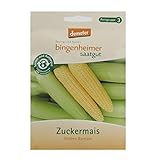 Bingenheimer Saatgut - Zuckermais Golden Bantam - Gemüse Saatgut / Samen Foto, neu 2024, bester Preis 5,00 € (250,00 € / kg) Rezension