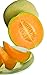 Photo Burpee Hale's Best Jumbo Cantaloupe Melon Seeds 200 seeds review
