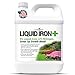 Photo Chelated Liquid Iron +Plus Concentrate Blend, Liquid Iron for Lawns, Plants, Shrubs, and Trees Stunted or Growth and Discoloration Issues – Solve Iron Deficiency and Root Problems – (32 oz.) USA Made review