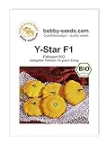 Y-Star F1 BIO Kürbissamen von Bobby-Seeds Portion Foto, neu 2024, bester Preis 2,95 € Rezension