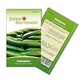 Salatgurke Tanja Samen - Cucumis sativus - Gurkensamen - Gemüsesamen - Saatgut für 8 Pflanzen Foto, neu 2024, bester Preis 1,99 € (0,25 € / stück) Rezension