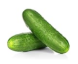 Spacemaster Cucumber Seeds, 100+ Heirloom Seeds Per Packet, (Isla's Garden Seeds), Non GMO Seeds, Botanical Name: Cucumis sativus, 85% Germination Rates Photo, new 2024, best price $5.99 ($0.06 / Count) review