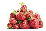 Strawberry Seeds-2000 Strawberry Seeds for Planting Indoors/Outdoors-Strawberry Seeds Heirloom Non GMO Organic-Alpine Strawberry Seeds for Planting Home Garden-Climbing Strawberry Tree Seeds Photo, new 2024, best price $12.99 ($0.01 / Count) review