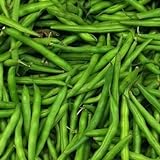 Blue Lake Pole Bean Seeds, 50 Heirloom Seeds Per Packet, Non GMO Seeds, Botanical Name: Phaseolus vulgaris, Isla's Garden Seeds Photo, new 2024, best price $5.99 ($0.12 / Count) review