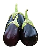 Burpee Early Midnight Eggplant Seeds 35 seeds Photo, new 2024, best price $8.58 ($0.25 / Count) review