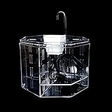 JJWC Desktop-Aquarium-Acryl-Isolationsbox-Fischbehälter-Zieraquarium-Zuchtkasten Büro-Dekoration Foto, neu 2024, bester Preis 112,15 € Rezension