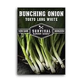 Survival Garden Seeds - Tokyo Long White Onion Seed for Planting - Pack with Instructions to Plant and Grow Asian Green Onions in Your Home Vegetable Garden - Non-GMO Heirloom Variety Photo, new 2024, best price $4.99 review