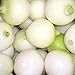 Photo 500 CRYSTAL WHITE WAX PEARL ONION Allium Cepa Vegetable Seeds review