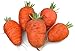 Photo Oxheart Carrot 200 Seeds #8136 Item Upc#650348691721 review