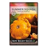 Sow Right Seeds - Yellow Scallop Summer Squash Seed for Planting  - Non-GMO Heirloom Packet with Instructions to Plant a Home Vegetable Garden Photo, new 2024, best price $4.99 review