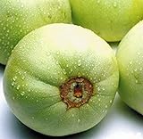 Sweet Melon Seeds (CHK) (Japanese New Mini Honeydew, 30 Seeds) Photo, new 2024, best price $9.95 ($0.33 / Count) review