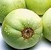 Photo Sweet Melon Seeds (CHK) (Japanese New Mini Honeydew, 30 Seeds) review