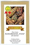 Mais - Zuckermais - Ziermais - Indianermais - Fiesta - 25 Samen Foto, neu 2024, bester Preis 2,39 € (0,10 € / stück) Rezension