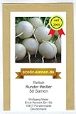 Rettich - Runder Weißer (50 Samen) Foto, neu 2024, bester Preis 1,80 € Rezension