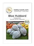 Blue Hubbard BIO Kürbissamen von Bobby-Seeds Portion Foto, neu 2024, bester Preis 2,75 € Rezension
