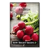 Sow Right Seeds - Champion Radish Seed for Planting - Non-GMO Heirloom Packet with Instructions to Plant a Home Vegetable Garden - Great Gardening Gift (1)… Photo, new 2024, best price $4.99 review
