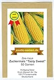 Zuckermais - Mais -Tasty Sweet F1 Hybride - sehr süß - früh reifend - 50 Samen Foto, neu 2024, bester Preis 2,49 € Rezension