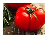 250 Beefsteak Tomato Seeds | Non-GMO | Fresh Garden Seeds Photo, new 2024, best price $6.99 ($0.03 / Count) review