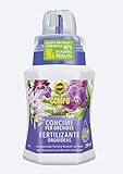 COMPO Fertilizante Orquídeas con guano, Para plantas sensibles, 250 ml Foto, nuevo 2024, mejor precio 3,95 € revisión