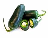 Hot Chili Pfeffer Jalapeno Ruben - Pepper - sehr ertragreich - 10 Samen Foto, neu 2024, bester Preis 1,60 € Rezension