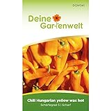 Chili Hungaria yellow wax hot - Capsicum baccatum - Chilisamen - scharfe Sorte - Gemüsesamen - Saatgut für 6 Pflanzen Foto, neu 2024, bester Preis 1,99 € (0,33 € / stück) Rezension