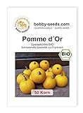 Pomme d´Or BIO Kürbissamen von Bobby-Seeds 50 Korn Foto, neu 2024, bester Preis 2,45 € Rezension