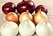 Photo NIKA SEEDS - Vegetable Onion Rainbow Mix Neutral - 500 Seeds review