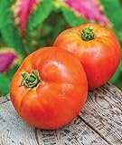 Burpee Better Boy Hybrid Large Slicing Red Variety Non-GMO Vegetable Planting | Disease-Resistant Tomato for Garden, 30 Seeds Photo, new 2024, best price $8.05 ($0.27 / Count) review