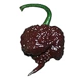 Chocolate Carolina Reaper HP22B Pepper Premium Seed Packet Record Hottest in The World + More Photo, new 2024, best price $6.99 review