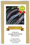 Aubergine - Lunga Cima Viola - alte italienische Regionalsorte - 250 Samen Foto, neu 2024, bester Preis 3,99 € Rezension
