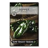 Sow Right Seeds - Poblano Pepper Seeds for Planting - Make Ancho Chiles at Home - Non-GMO Heirloom Packet with Instructions to Plant a Home Vegetable Garden… Photo, new 2024, best price $4.99 review