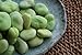 Photo Broad Windsor Pole Fava Bean Seeds - Non-GMO review