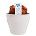 Photo Costa Farms, Premium Live Indoor Desert Gems Orange Cacti, Tabletop Plant, White Gloss Euro Ceramic Decorator Pot, Shipped Fresh From Our Farm, Excellent Gift review