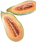 Banana Melon Cucumber Seeds, Exotic and Rare, 120 Heirloom Seeds Per Packet, Non GMO Seeds, Isla's Garden Seeds Photo, new 2024, best price $6.29 ($0.05 / Count) review