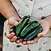 Photo Nadapeno Jalapeno Pepper - 25 Seeds - Heirloom & Open-Pollinated Variety, Non-GMO Vegetable Seeds for Planting in The Home Garden, Thresh Seed Company review