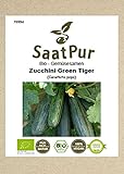 Gemüsesamen Bio Zucchini Green Tiger Freiland und Topf bitterfrei für ca. 12 Pfl. Samen Saatgut Foto, neu 2024, bester Preis 4,99 € Rezension