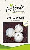 White Pearl Kürbissamen Foto, neu 2024, bester Preis 3,25 € Rezension