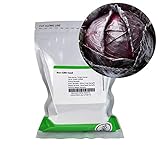 Red Acre Cabbage Seeds: 1 Lb - Non-GMO, Chemical Free Sprouting Seeds for Vegetable Garden & Growing Micro Greens Photo, new 2024, best price $31.39 ($1.96 / Ounce) review