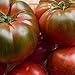 Foto Tomate Muchamiel 25 x Samen aus Portugal 100% natürlich Aufzucht/absolute Rarität/Massenträger (Muchamiel) Rezension