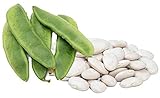 Henderson Lima Beans, 50 Seeds Per Packet, Non GMO Heirloom Seeds, High Germination & Purity, Botanical Name: Phaseolus lunatus, Isla's Garden Seeds Photo, new 2024, best price $5.99 ($0.12 / Count) review