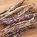 Photo Dragon Tongue Bush Bean Seeds - Packet of 20 Seeds review