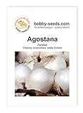 Zwiebelsamen Agostana Portion Foto, neu 2024, bester Preis 1,35 € Rezension