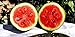 Photo 25 Moon and Star Watermelon Seeds | Non-GMO | Heirloom | Instant Latch Garden Seeds review